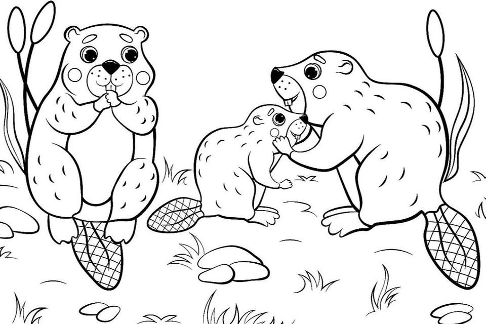 Animal families coloring pages free fun printable coloring pages of animal families printables mom