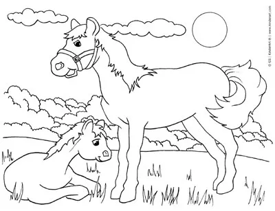 Free animals and baby animals coloring pages to print and color online colouring book printable pages from and kindercolor