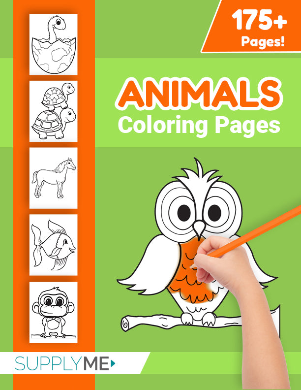 Animal coloring pages bundle