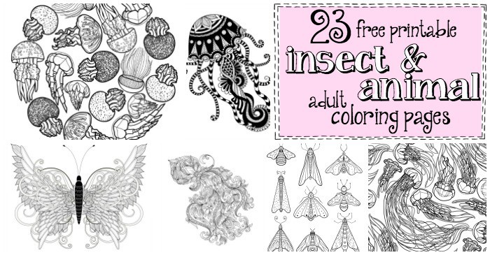 Free printable insect animal adult coloring pages
