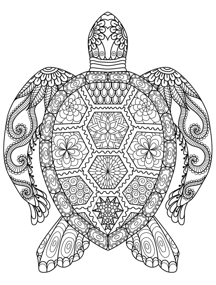 Gorgeous free printable adult coloring pages turtle coloring pages free printable coloring pages free adult coloring pages