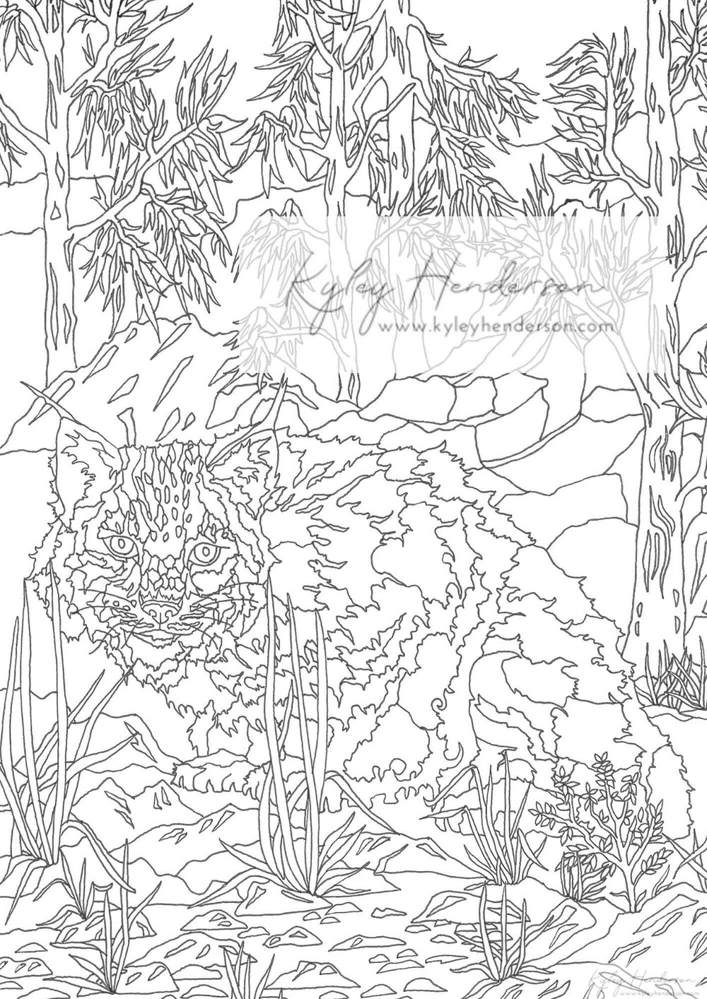 Adult coloring pages printable forest animal coloring book pages hand drawn animal coloring pages â kyley henderson art