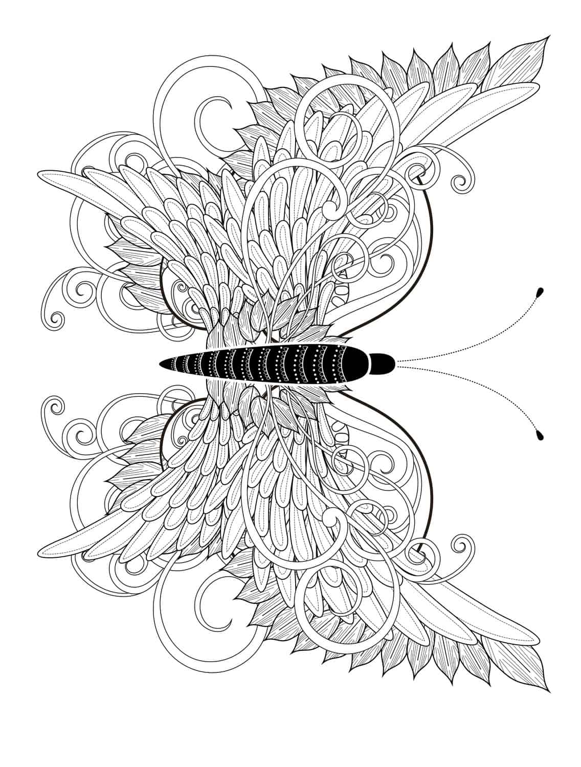 Free printable insect animal adult coloring pages