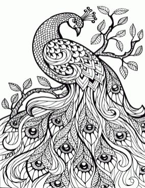 Free printable adult coloring pages animals