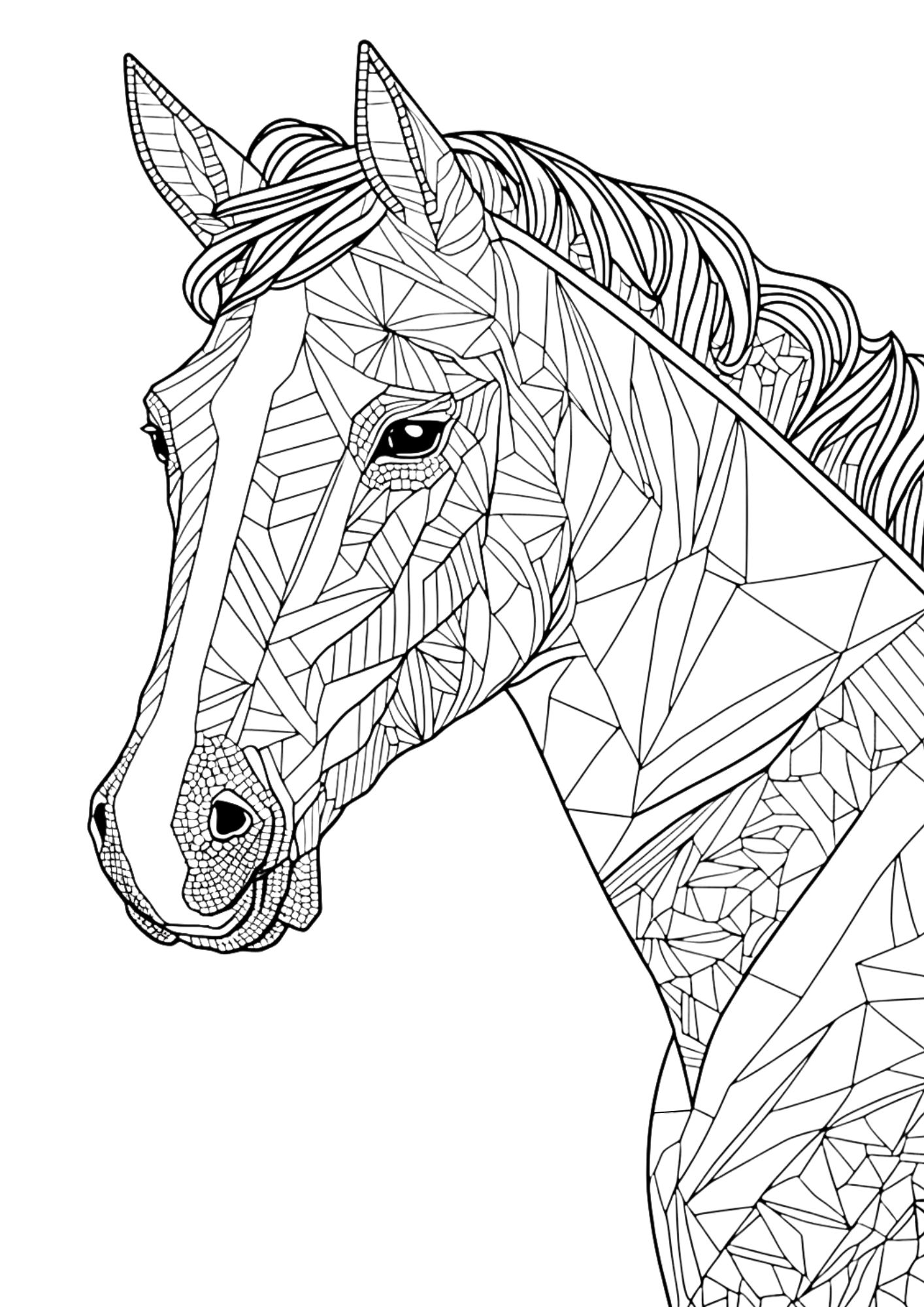 Free printable animal coloring pages for adults relax unwind and color