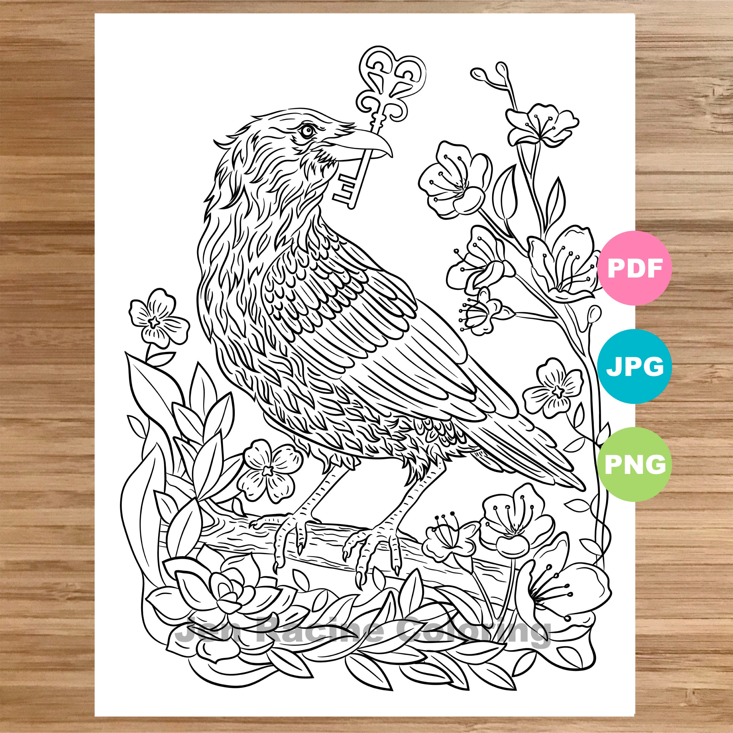 Raven coloring page magical animal animal art coloring page printable coloring pages for adults coloring pages for kids download now