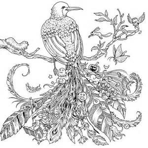 Animorphia coloring pages printable coloring pages animorphia coloring book animorphia coloring bird coloring pages