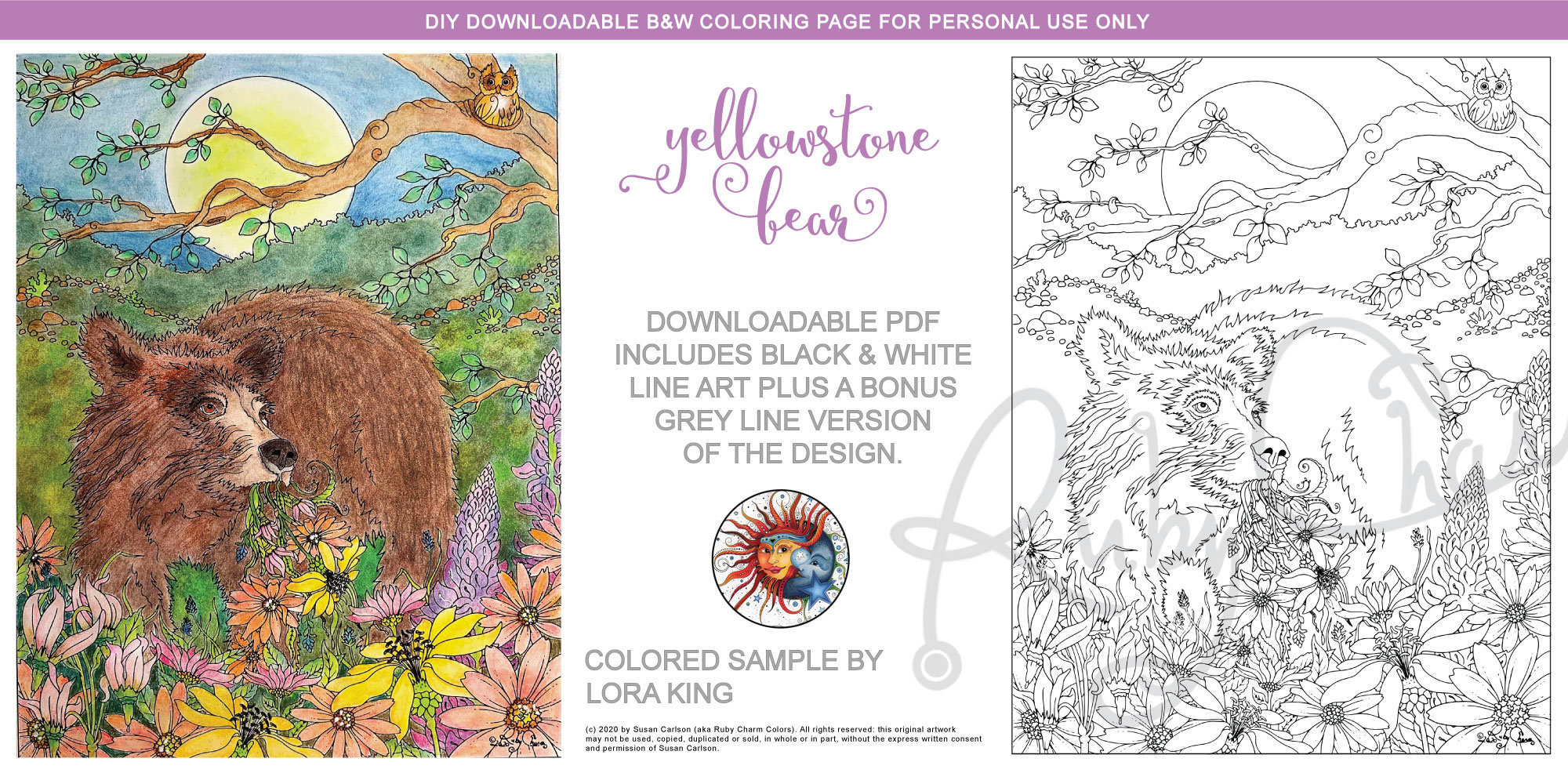 Ruby charm colors yellowstone bear adult coloring page wildlife national park flowers bears owl moon sun