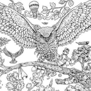 Animorphia coloring book by kerby rosanes