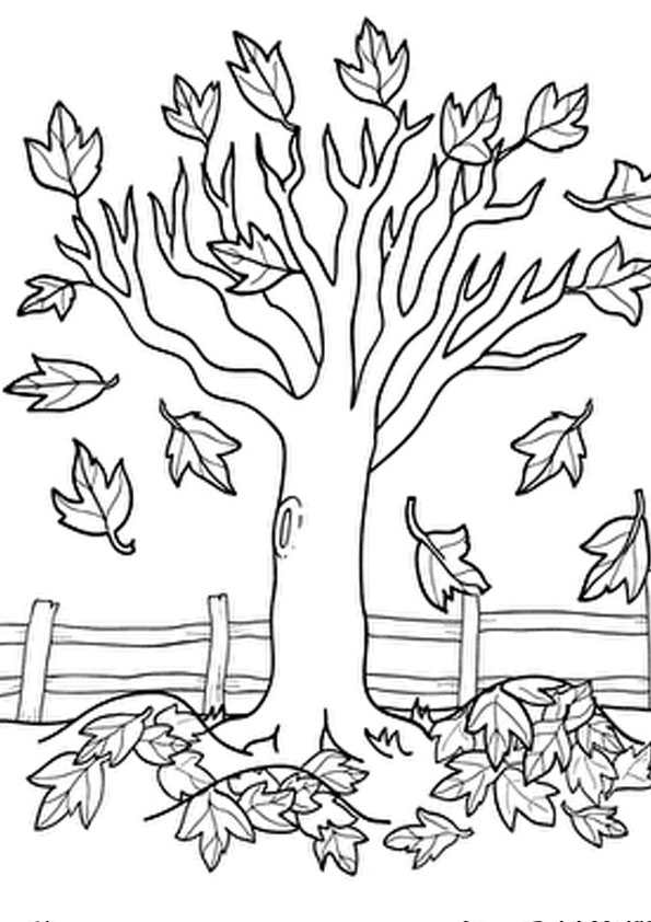 Coloring pages tree in autumn coloring page
