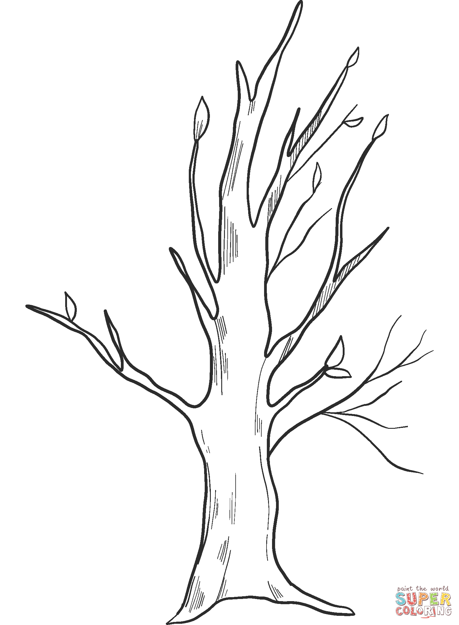 Fall tree coloring page free printable coloring pages