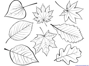Fall leaves and trees coloring printables
