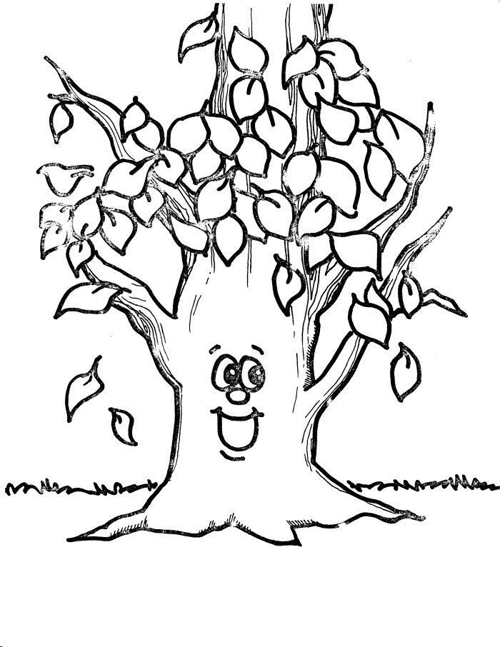 Tree leaves coloring pages fall coloring pages tree coloring page leaf coloring page