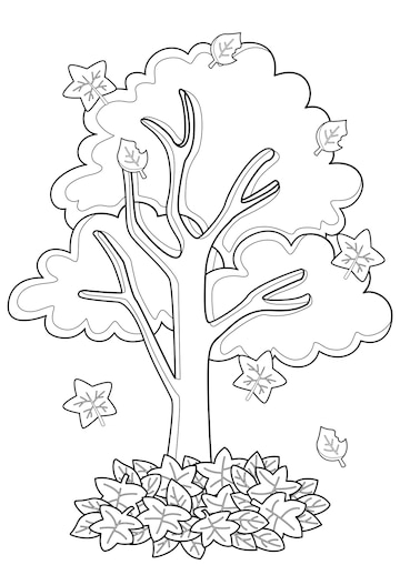 Premium vector autumn seasons tree coloring pages a for kids and adult