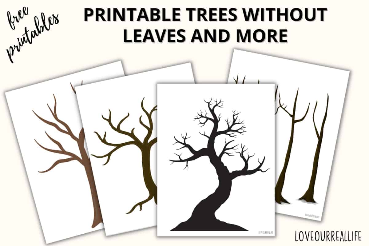 Free printable trees without leaves template