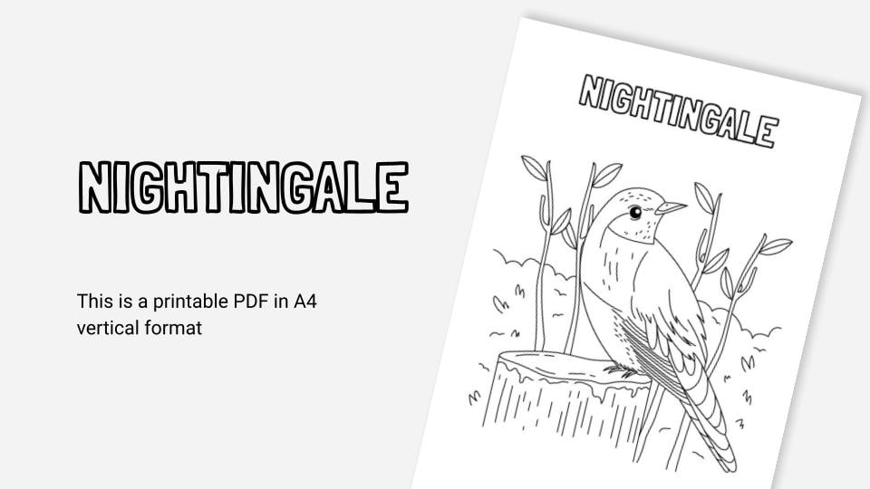 Printable coloring worksheets with birds in pdf