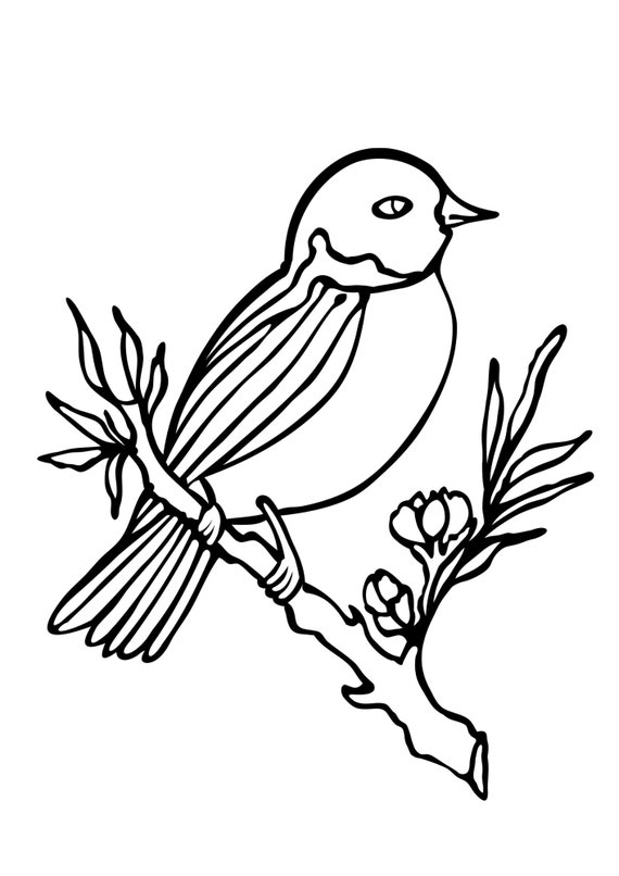 Birds printable coloring sheet coloring pages kids coloring pages birds pictures unique bird sketch for kids toddlers bird lovers