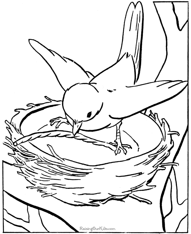 Free printable kids coloring pages of birds bird coloring pages coloring pages coloring pages for boys