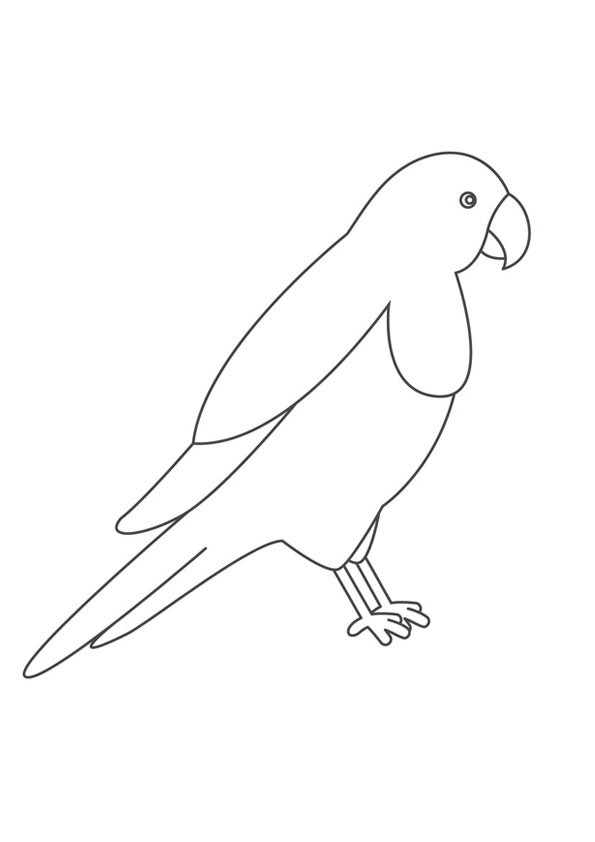 Coloring pages free printable bird coloring pages online