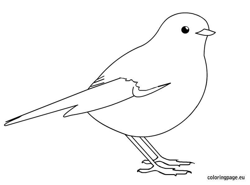 Bird printable coloring page