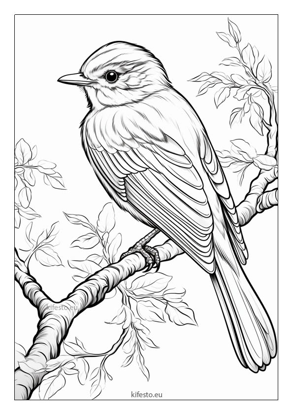 Bird coloring pages printable coloring sheets