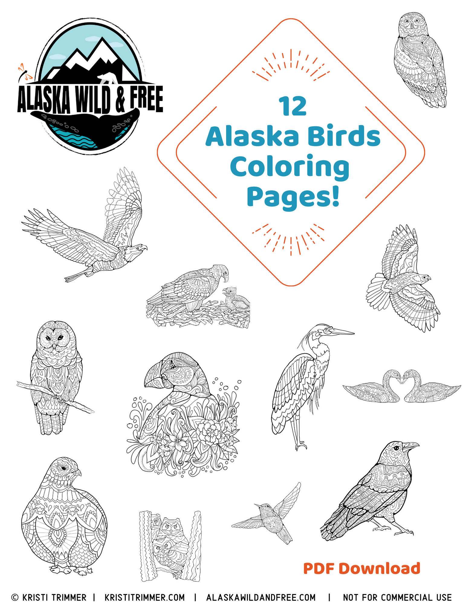 Color alaska bird coloring pages â alaska wild free