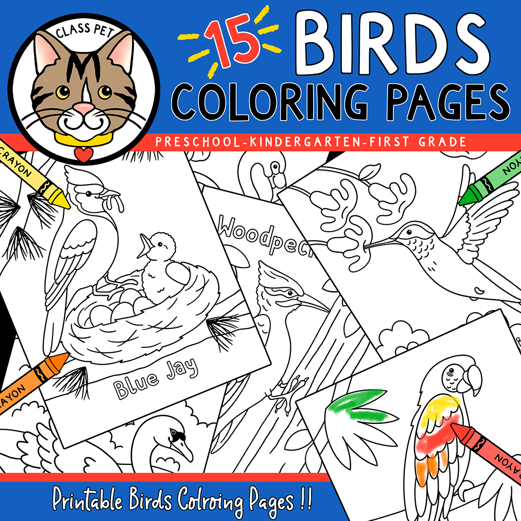 Birds coloring pages made by teachers