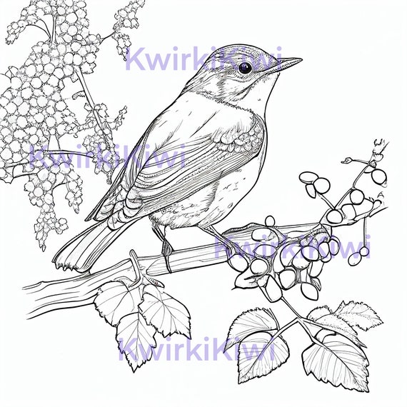 Bird coloring page digital coloring page printable coloring page
