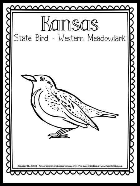 Kansas state bird coloring page western meadowlark free printable â the art kit