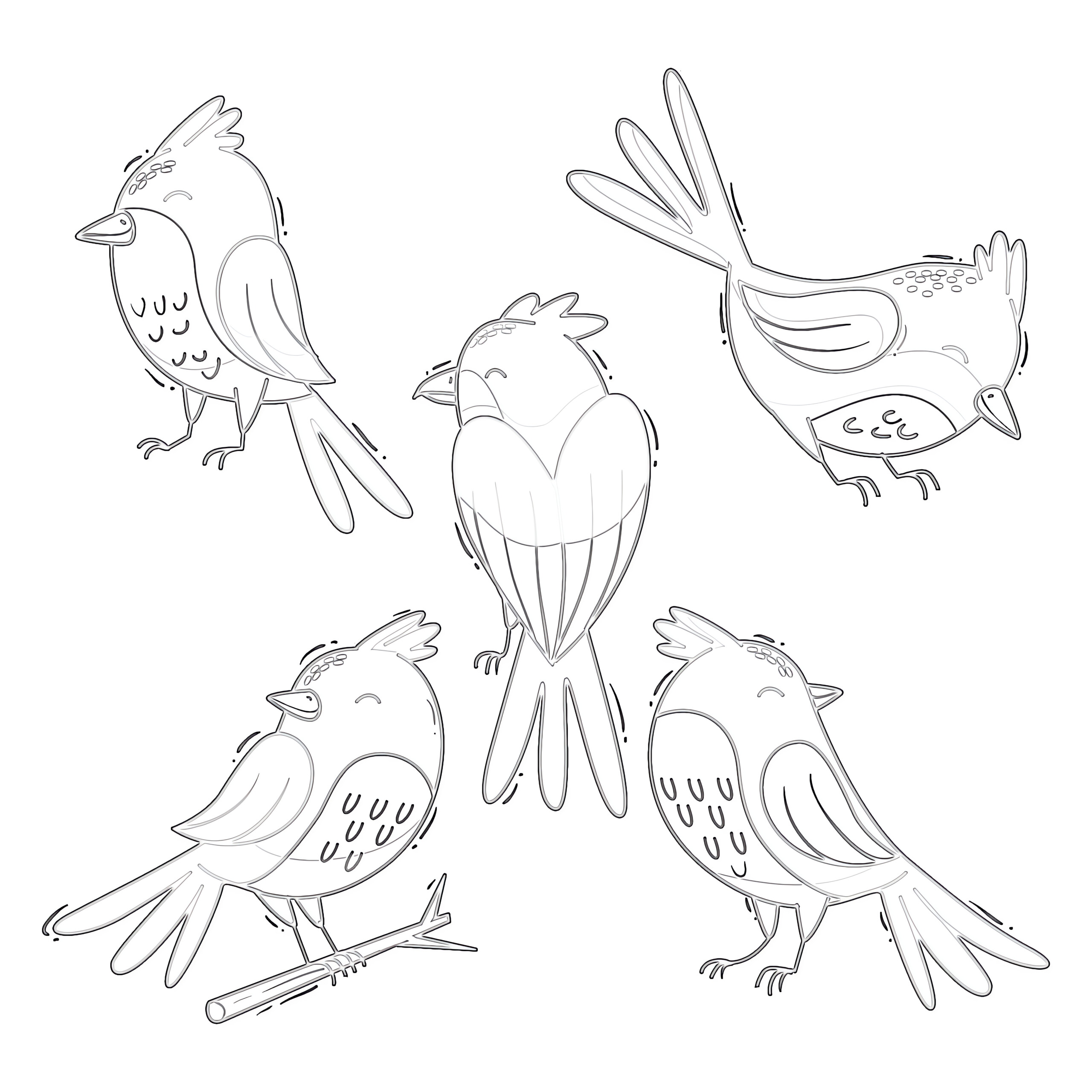 Collection bird coloring page