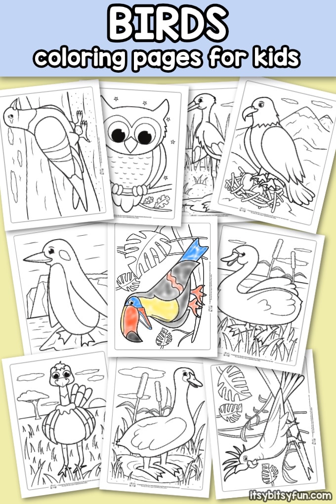Birds coloring pages for kids