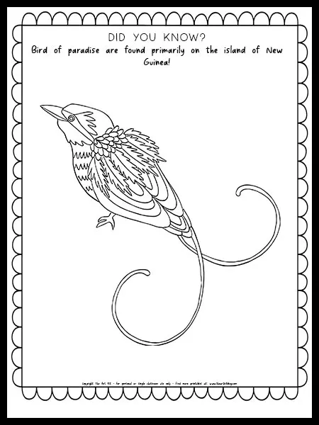 Bird of paradise coloring page with fun fact free printable â the art kit