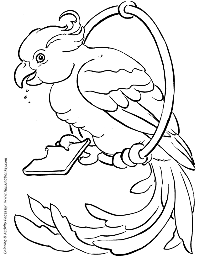 Pet bird coloring pages free printable pet coloring pages and activity sheets for pre