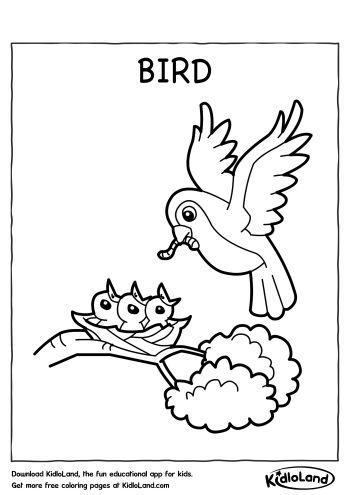 Download free bird coloring page and educational activity worksheets for kids
