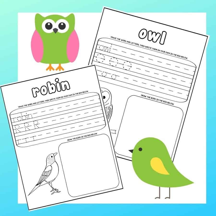 Free bird coloring pages bird word search bird watching for kids