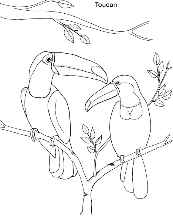 Birds printable coloring sheet coloring pages kids coloring pages kids summer activity birds pictures