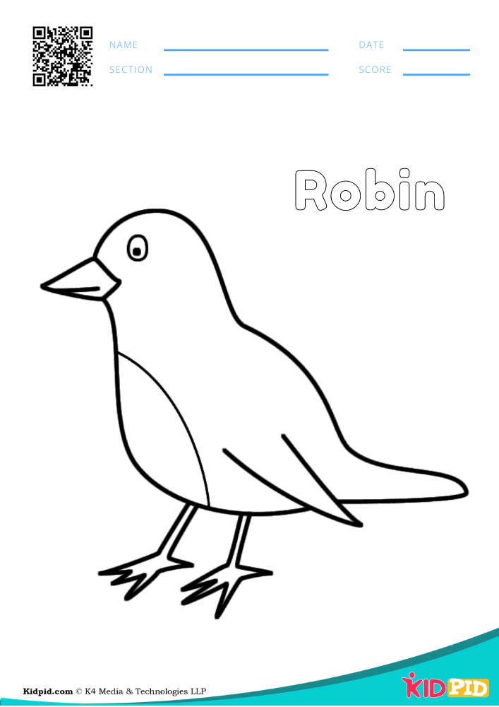 Bird coloring pages for preschoolers