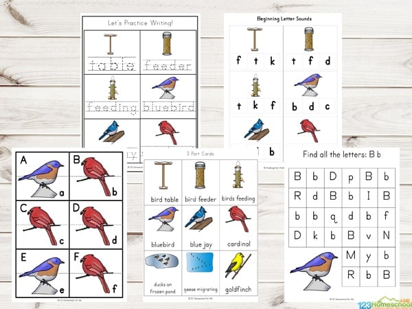 Free birds in winter printable worksheets