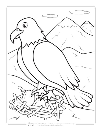 Birds coloring pages for kids