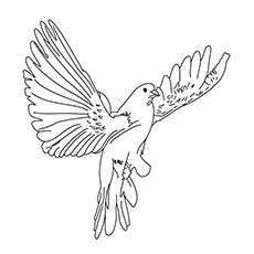 Top free printable bird coloring pages online