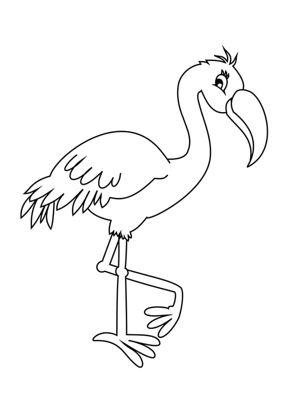 Free birds coloring printable pages and worksheets for kids