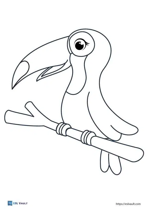 Free printable toucan coloring pages