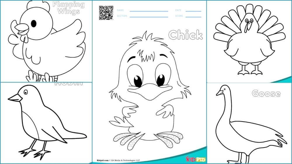 Bird coloring pages for preschoolers