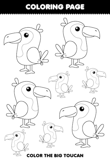 Premium vector education game for children coloring page big or small picture of cute cartoon toucan bird animal line art printable worksheet