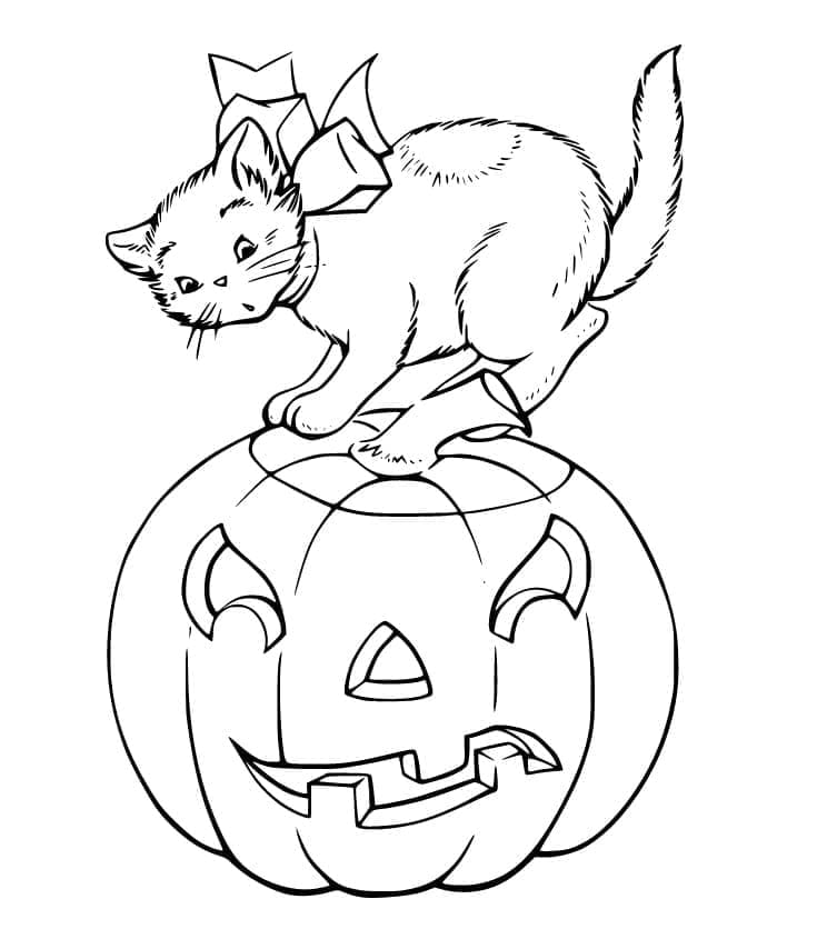 Little halloween cat coloring page