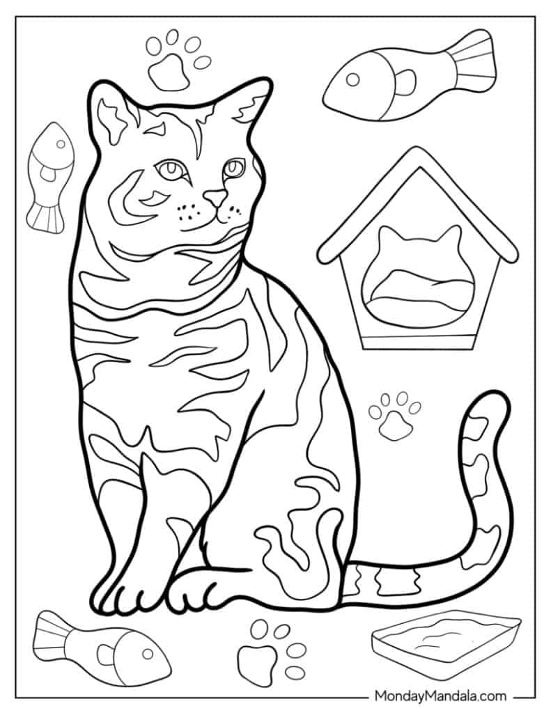 Cat coloring pages free pdf printables