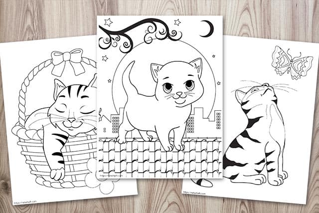 Super cute cat coloring pages easy no