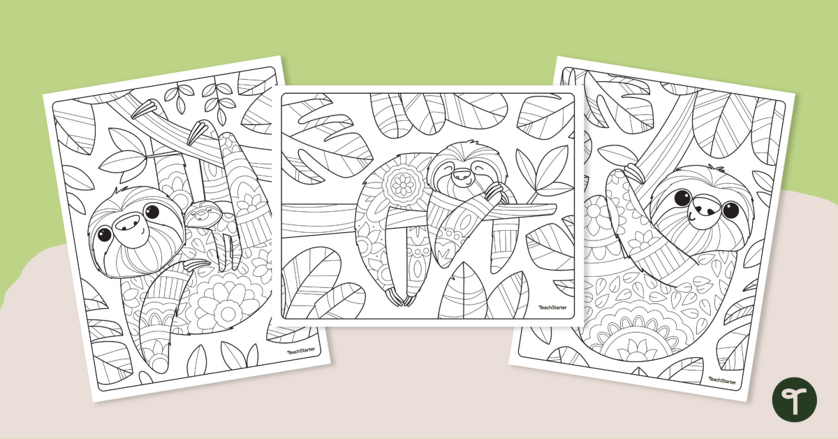 Sloth mindfulness coloring pages teach starter