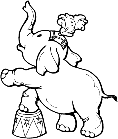 Baby elephant in a circus coloring page free printable coloring pages