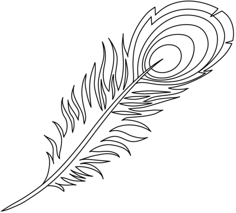 Peacock feather coloring page free printable coloring pages